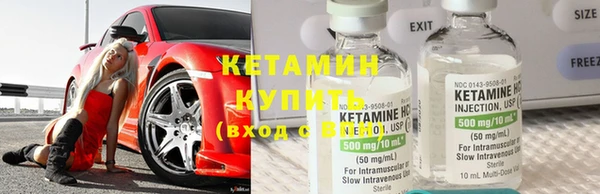 шишки Осинники